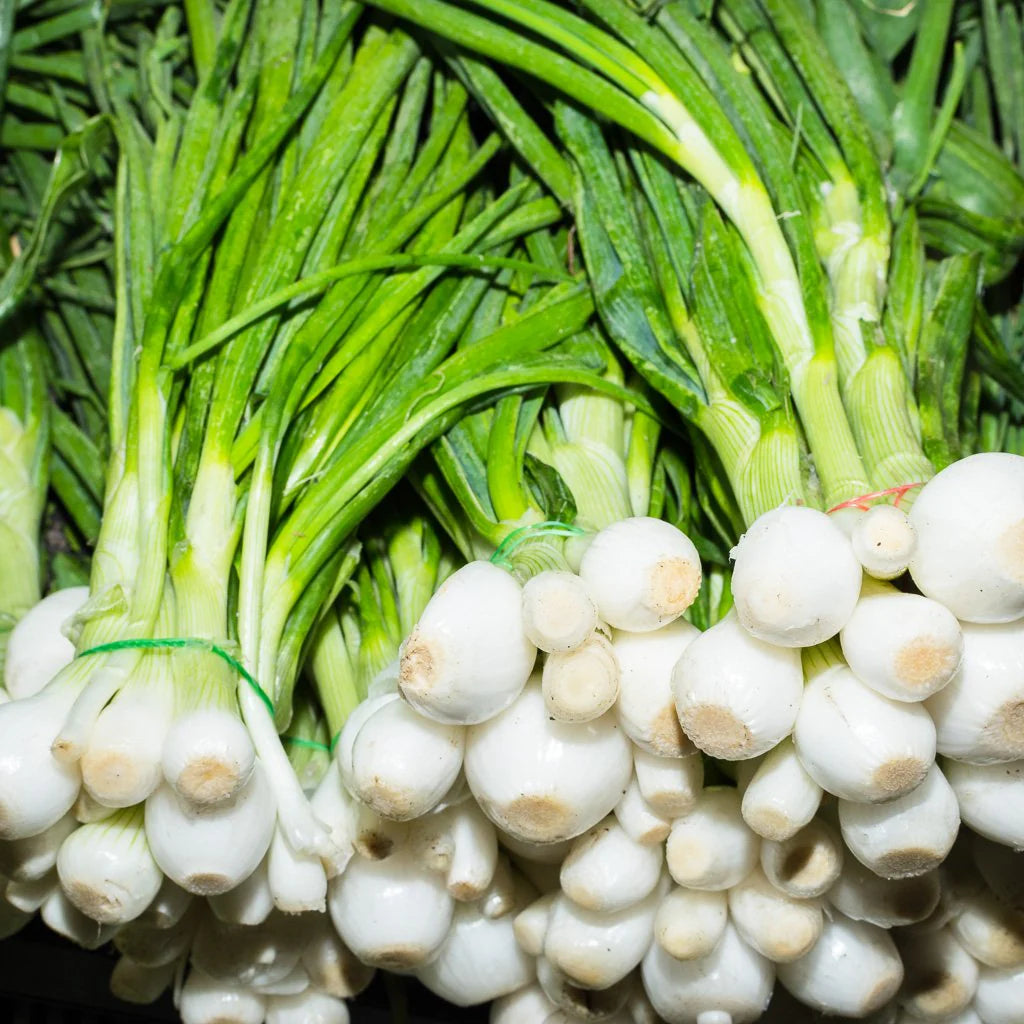 Mexican Onion