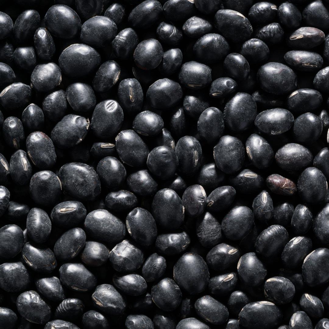 Black Bean