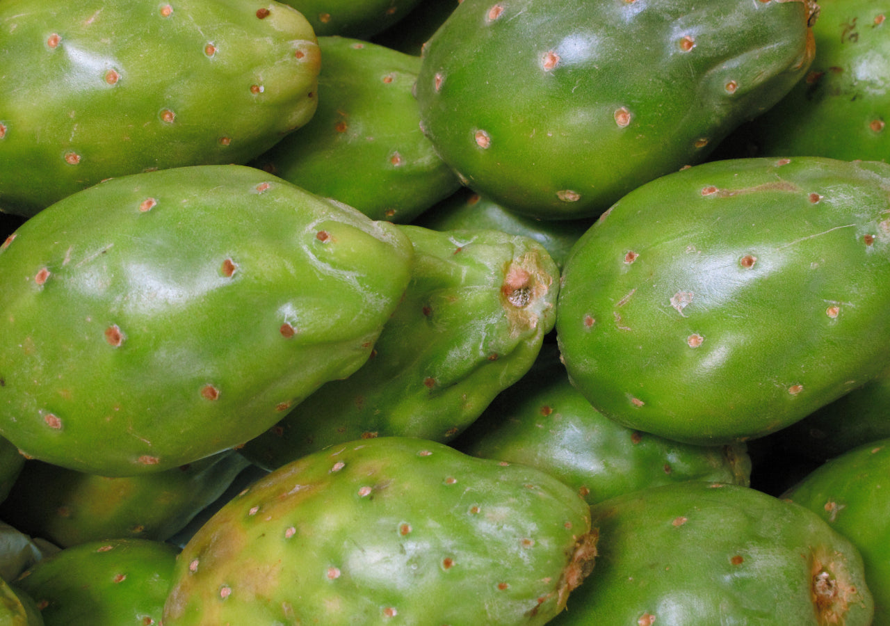 Tuna Verde