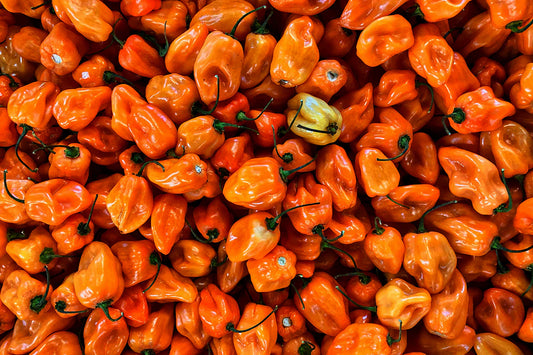 Habanero