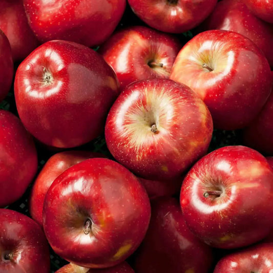 Manzana Roja