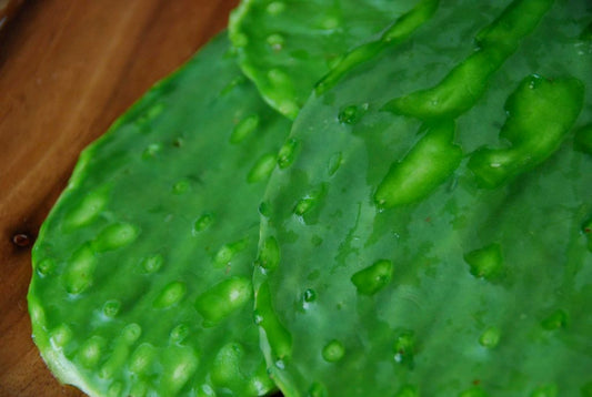 Nopal Pelado