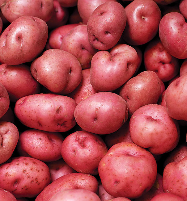 Red Potato