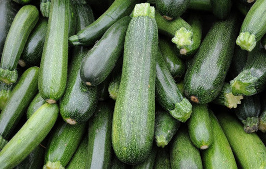 Zucchini